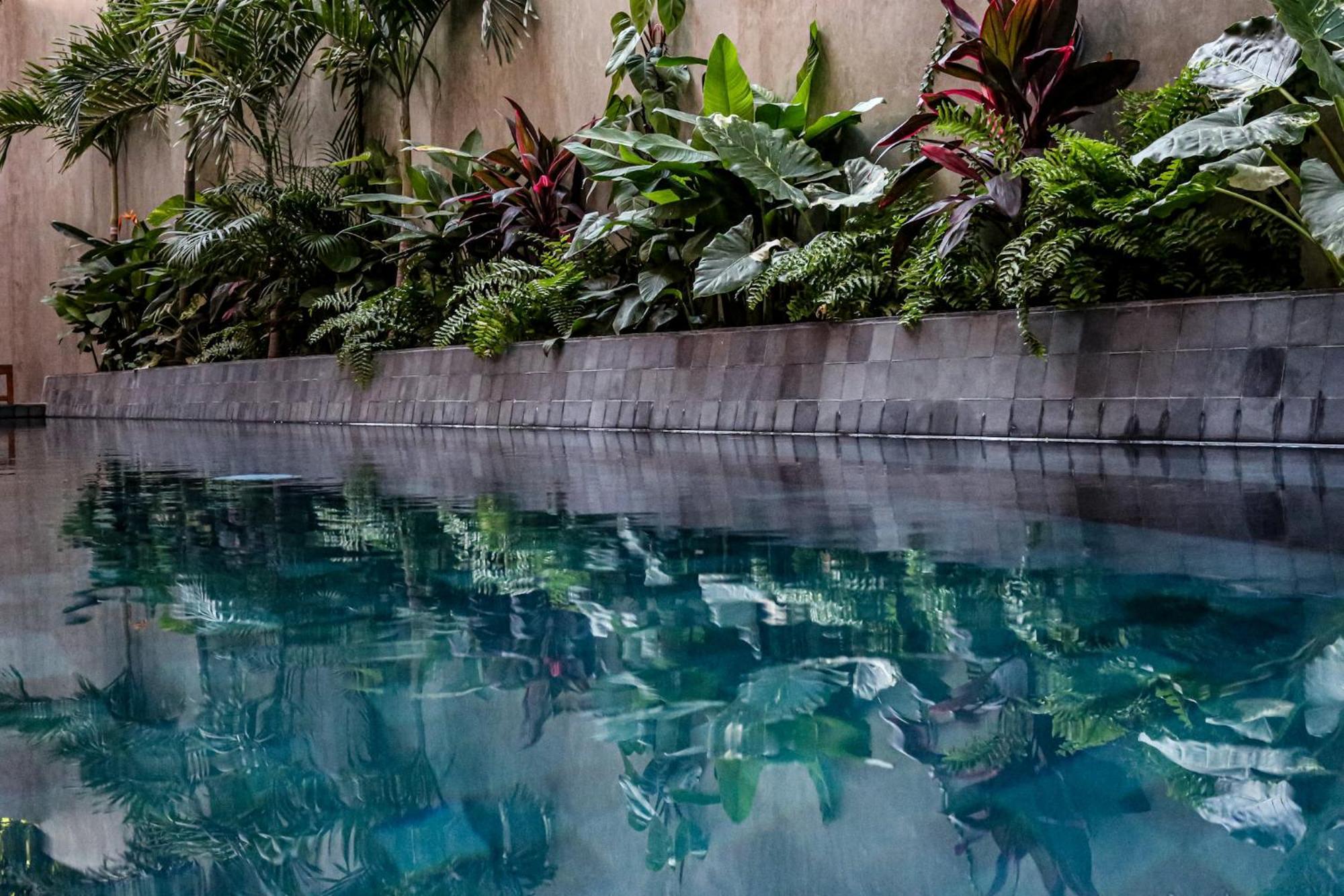 Casa Toro La Punta Hotel Brisas de Zicatela Ngoại thất bức ảnh